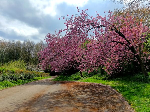 Ecclesfield Park