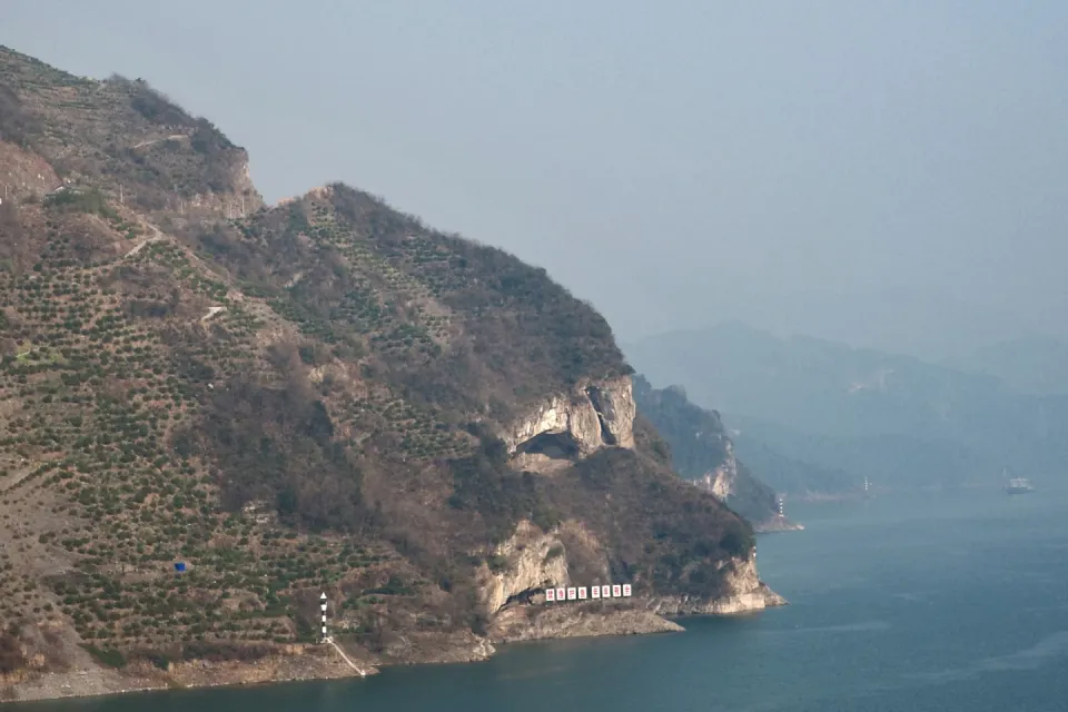 ‘Puppy Mountain’ photo draws onlookers to a Chinese riverside